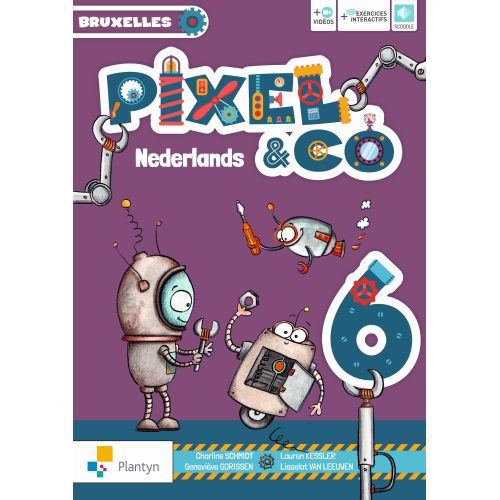 Pixel & Co Nederlands 6 Bruxelles