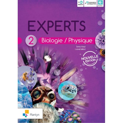 Experts 2 Nouvelle édition (+ Scoodle)