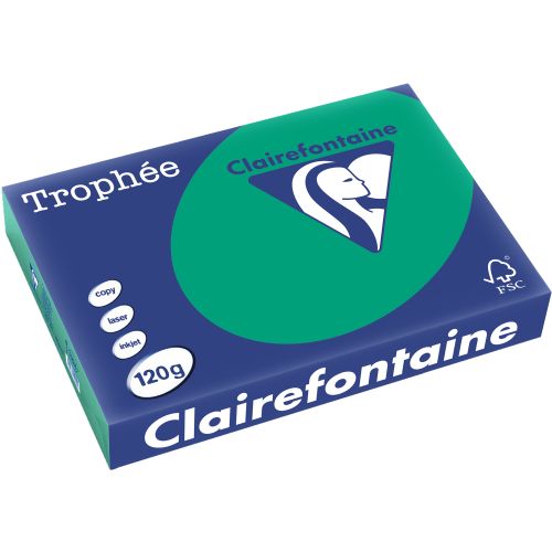 Papier repro A4 120g par 250 vert foncé