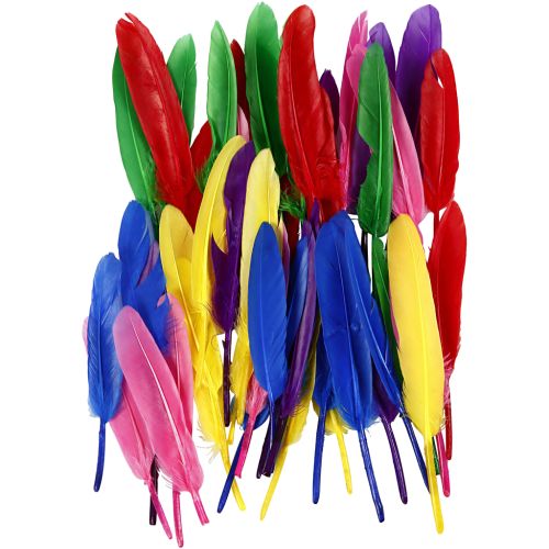 Plumes longueur 13 cm 48 pièces 6 couleurs