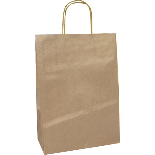 Sac en papier kraft 24x11x31 par 25 110gr