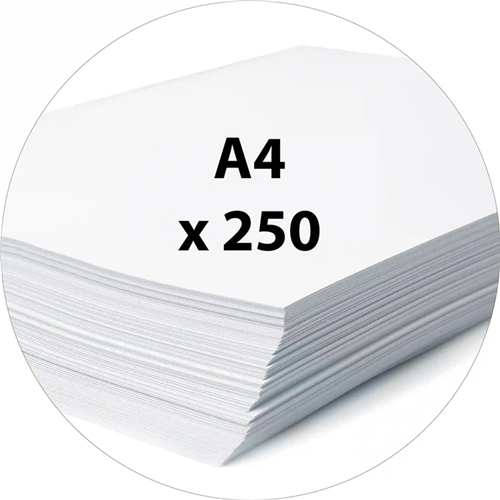 Papier dessin blanc A4 160g, 250 feuilles Papier dessin blanc A4 160g, 250 feuilles