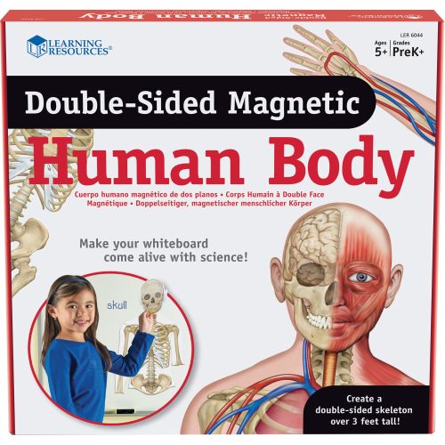 Le corps humain magnétique 90 cm